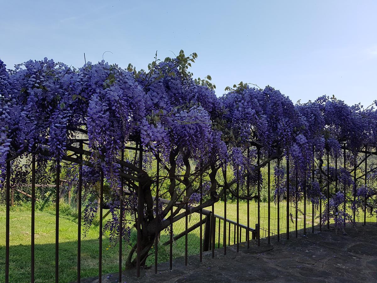 Agriturismo Il Pintello San Casciano in Val di Pesa Exterior foto