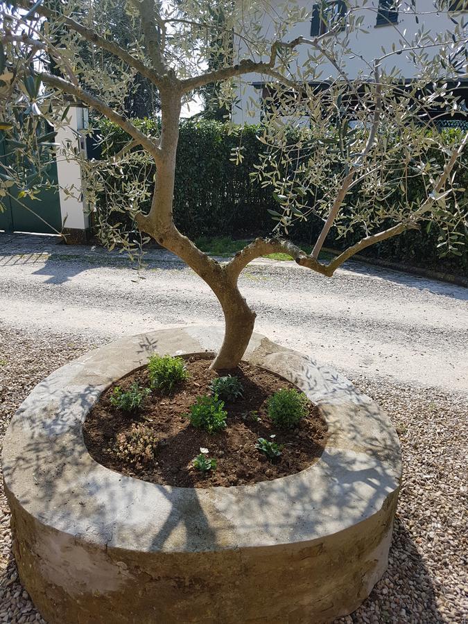 Agriturismo Il Pintello San Casciano in Val di Pesa Exterior foto